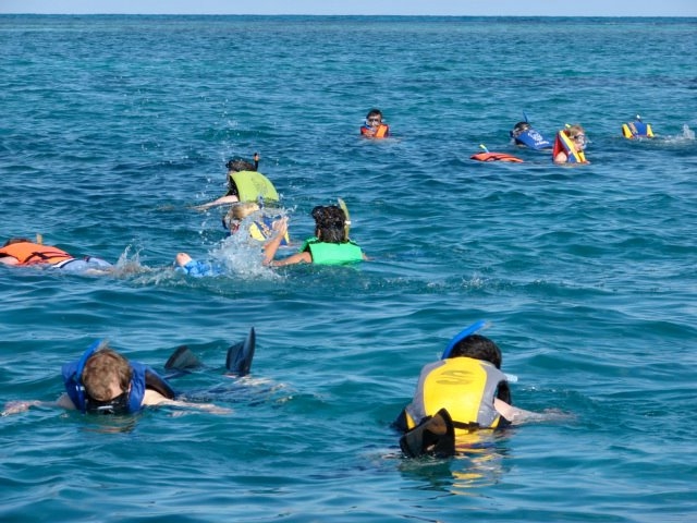 grupo de snorkel